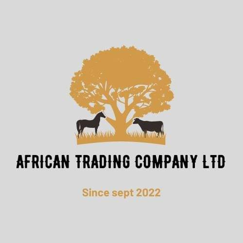 African Trading Company ltd shop