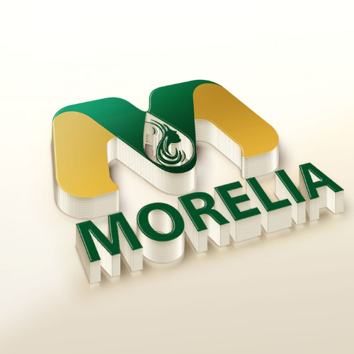 Morelia Hair Care